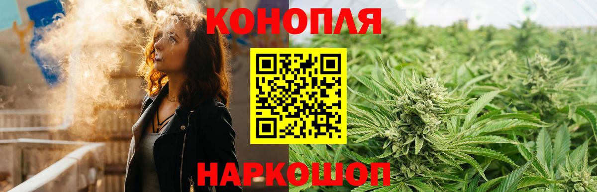 Шишки марихуана планчик Губкин